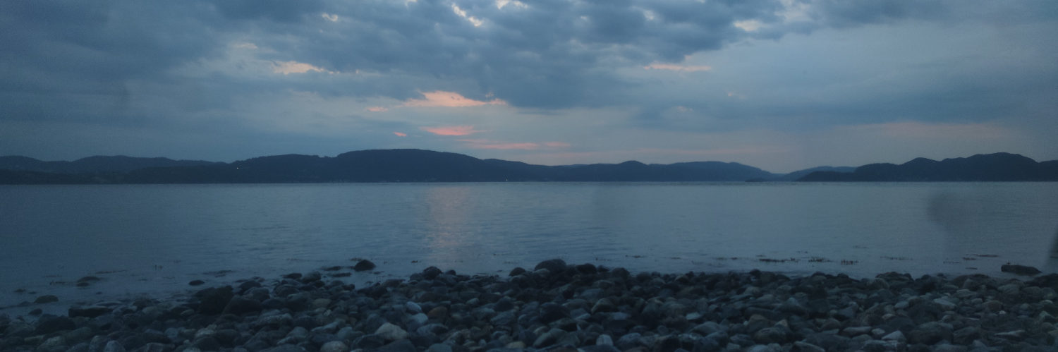 User banner